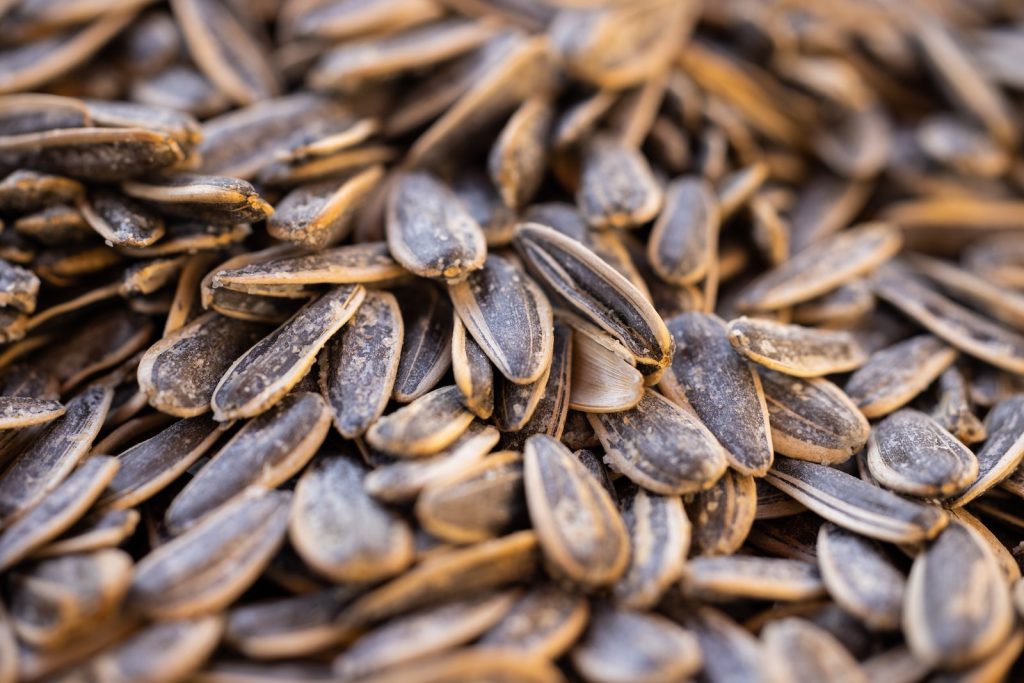 are sunflower seeds keto?